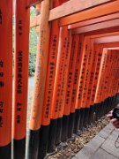 15-TJ-20250415_114830