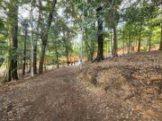 15-TJ-20250415_115440