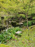 15-TJ-20250415_115725