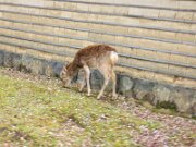 15-TJ-20250415_152516