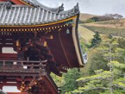 15-TJ-20250415_153844