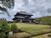 15-TJ-20250415_154116