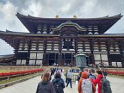 15-TJ-20250415_154903