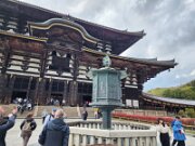 15-TJ-20250415_154925