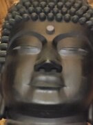 15-TJ-20250415_155405