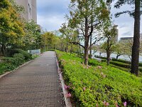 15-TJ-20250415_071250