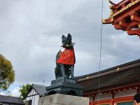 15-TJ-20250415_113734