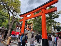 15-TJ-20250415_114304