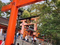 15-TJ-20250415_114307