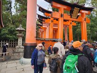 15-TJ-20250415_114449