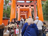 15-TJ-20250415_114517