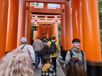 15-TJ-20250415_114528