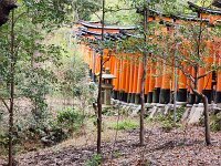 15-TJ-20250415_115135