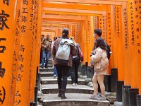 15-TJ-20250415_115206