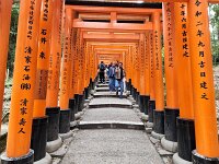 15-TJ-20250415_115302