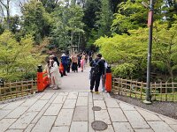 15-TJ-20250415_115821