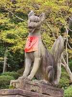 15-TJ-20250415_120539