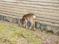 15-TJ-20250415_152516