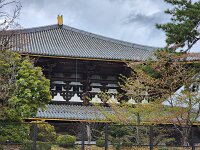 15-TJ-20250415_152840