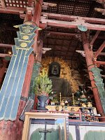 15-TJ-20250415_155239