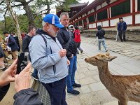 15-TJ-20250415_162312