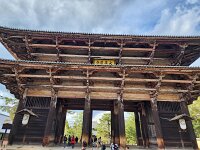 15-TJ-20250415_163815