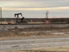lusbyimg_2207_small.jpg