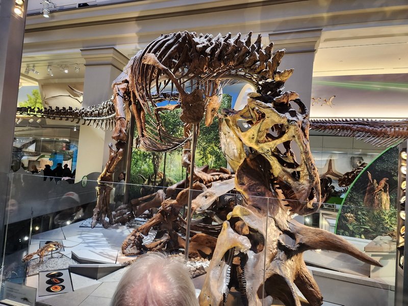 nathist20251228_142900.jpg