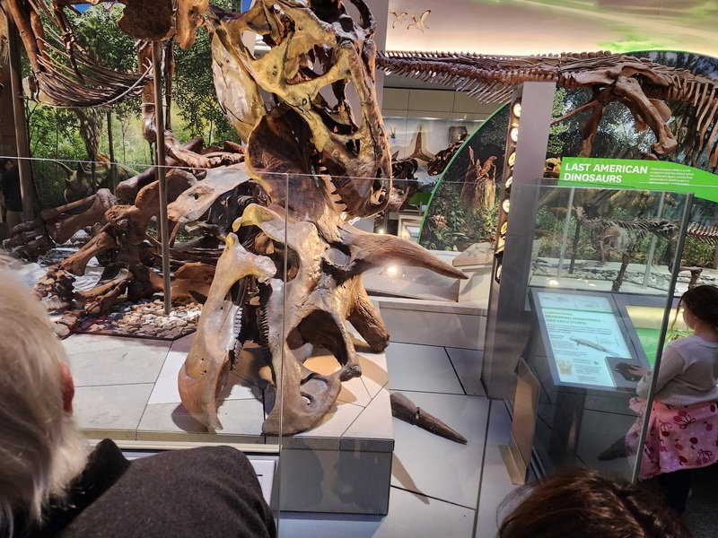 nathist20251228_142903.jpg