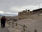 dantesimg_3945_small.jpg