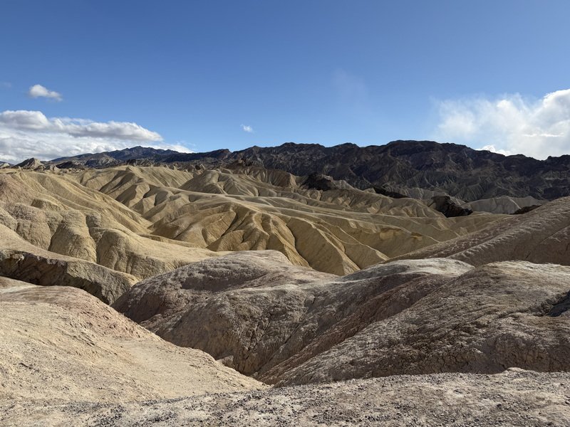 dantesimg_4054.jpg