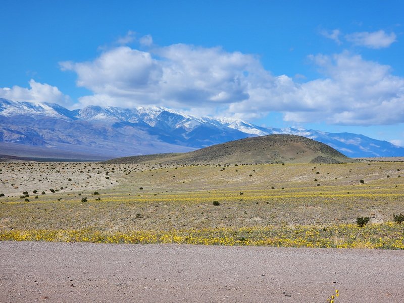 dvlys20260218_121347.jpg