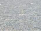 dvlys20260218_144707_small.jpg