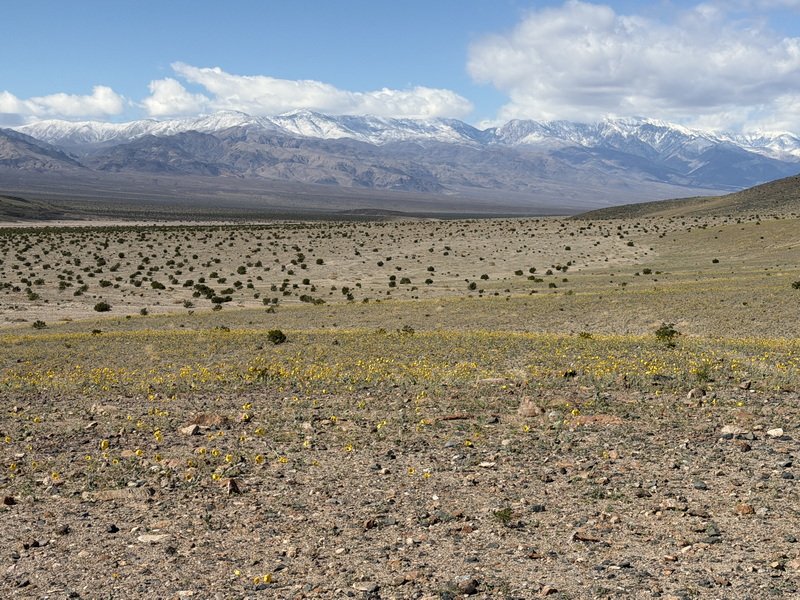 dvlysimg_3739.jpg