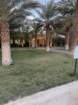 furnaceimg_3670_small.jpg