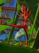 mothersd20260510_152356_small.jpg