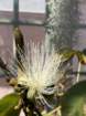 mothersdimg_5374_small.jpg