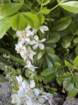 ftbraggimg_5672_small.jpg
