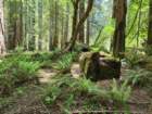 shelterc20260520_133244_small.jpg
