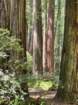 shelterc20260520_133405_small.jpg