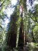 sheltercimg_0249_small.jpg