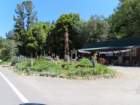 sheltercimg_0285_small.jpg