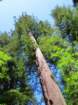 sheltercimg_0320_small.jpg