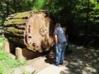 sheltercimg_0355_small.jpg