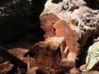 sheltercimg_0418_small.jpg