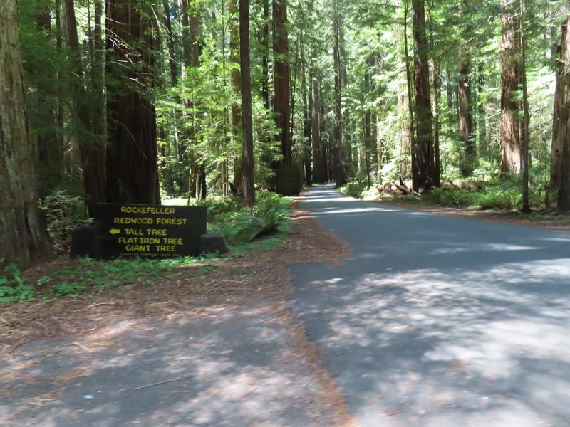 sheltercimg_0433.jpg