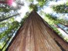 sheltercimg_0449_small.jpg