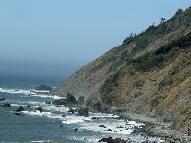 sheltercimg_5742.jpg