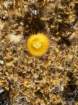 jacimg_6268_small.jpg