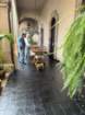 smdaimg_6564_small.jpg